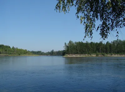 Река Иркут, окр. села... - Смоленщина - Ландшафты и сообщества - Плантариум