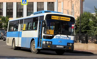 Всадники на якутских лошадях прибудут в Иркутск 24 декабря