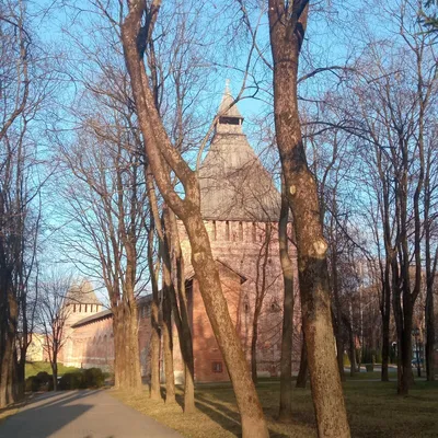 Смоленск, Улица Багратиона, 14 / Улица Нахимова, 12 — Фото — PhotoBuildings