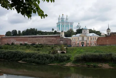 Смоленский депутат Зеленский прокомментировал скандал со своей фамилией -  РИА Новости, 16.08.2023