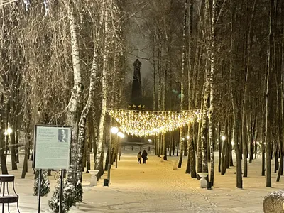 Холода не планируют покидать Смоленск — Смоленские новости