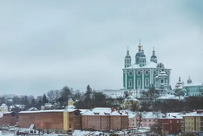 Смоленск и его окрестности...В старом парк зима.... / фото