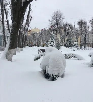 Музей \"Смоленская крепость\". Башня Громовая - фото, описание