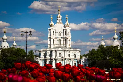 Смоленский собор в городе \"Санкт-Петербург\"