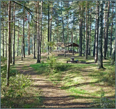 Смоленское Поозерье, Смоленская область. Цены, официальный сайт, карта,  фото, видео, как добраться — Туристер.Ру