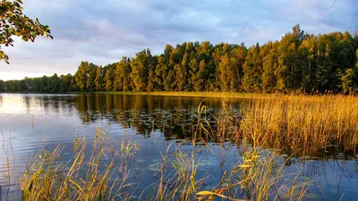 Смоленское поозерье: первые осенние деньки. Бакланово, Петровское, Сапшо