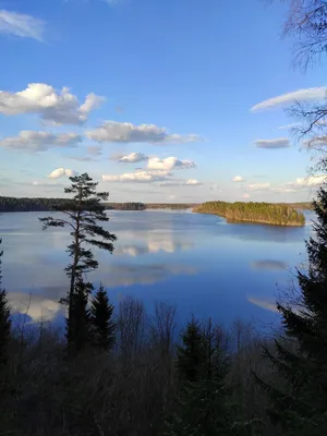 Смоленское Поозерье»