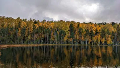 Национальный парк \"Смоленское поозёрье\" | monologova | Дзен