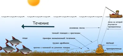 Фидер против спиннинга - ловля леща на хитрую снасть | Вести с водоемов