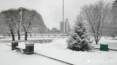 Снег и мороз до -15 °C: прогноз погоды на выходные / 12 ноября 2021 |  Екатеринбург, Новости дня 12.11.21 | © РИА Новый День