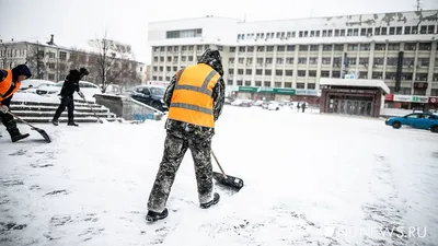 Синоптик Пулин: с середины недели в Свердловской области потеплеет до  плюсовых температур | Уральский меридиан