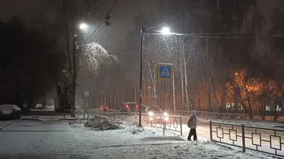 В Екатеринбурге выпал первый снег - «Уральский рабочий»