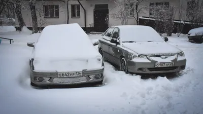 Зима в Екатеринбурге будет аномально тёплой. Но не сразу. Синоптики  полагают, что декабрь окажется холоднее.. | ВКонтакте