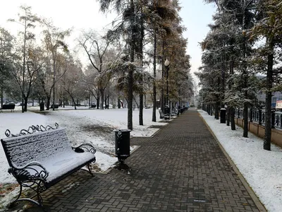 В Иркутске выпал первый снег — Иркутск Сегодня