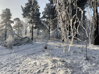 Зима в Иркутске. Фото с городских улиц - Иркутск Сегодня - 3 декабря -  43637463803 - Медиаплатформа МирТесен