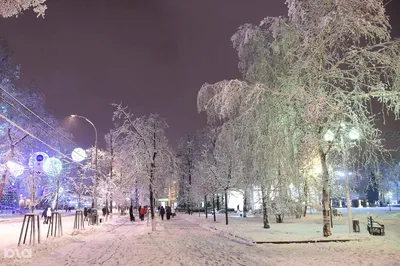 В Краснодаре морозы и снег продержатся не менее трех дней