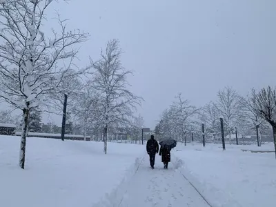 Из-за снегопадов в Краснодаре у школьников отменили уроки. Новости. Первый  канал