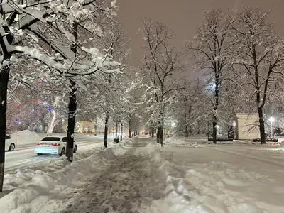 В Краснодаре выпал первый снег. Портал Юга.ру собрал видео из разных  районов города