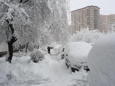 Снег в Краснодаре: город провожает новогодние каникулы | 10.01.2021 |  Краснодар - БезФормата