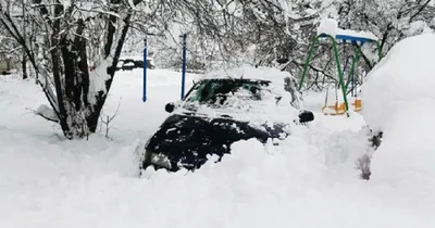 Сугробы на тротуарах, засыпанные машины и снежная сказка: в Краснодаре  впервые в 2023 году выпал снег