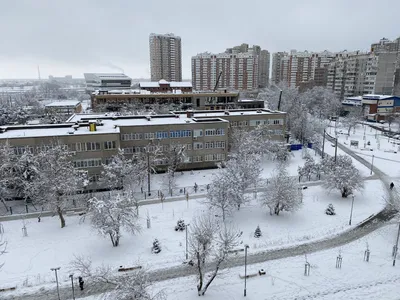 В Краснодаре впервые за много лет выпало 20 см снега