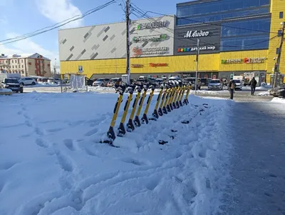 В Краснодаре возможен сильный снегопад :: Krd.ru