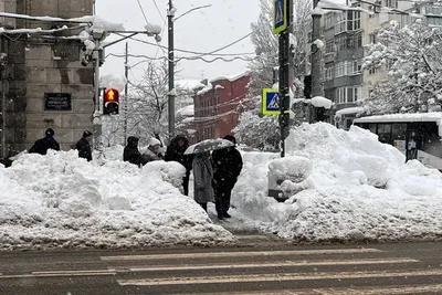 В Краснодаре за вечер и ночь выпало 20 см снега