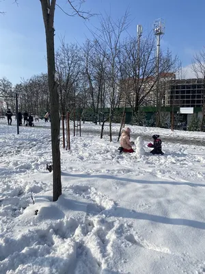 В Краснодаре выпал снег | Пикабу