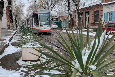 На весь Краснодар — одна лопата»: соседняя Ростовской области Кубань  утопает в снегу - KP.RU