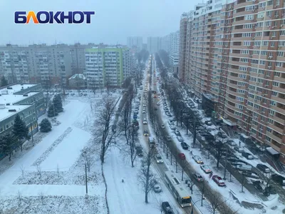 Самая снежная зима в Краснодаре, за последние 8 лет | Жизнь и Чувства | Дзен