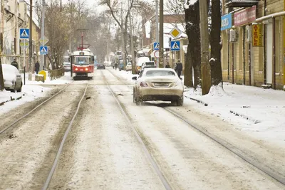 В Краснодаре впервые за много лет выпало 20 см снега