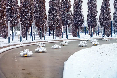 В Краснодаре ночью будет десятиградусный мороз. 08.02.2023 г. Телеканал « Краснодар»