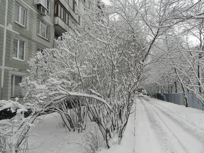 Снегопад в Москве: синоптики прогнозируют гололедицу и сугробы до 25 см -  Ведомости.Город