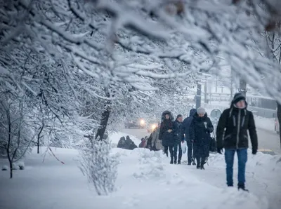 Снег в Москве | РИА Новости Медиабанк