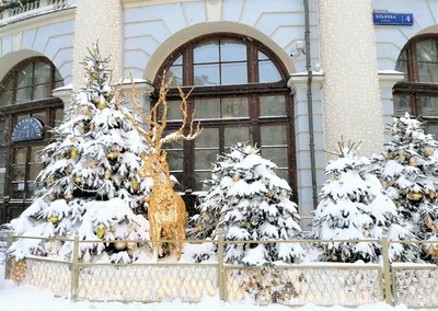 В Москве продлится сильнейший снегопад | Климат и экология