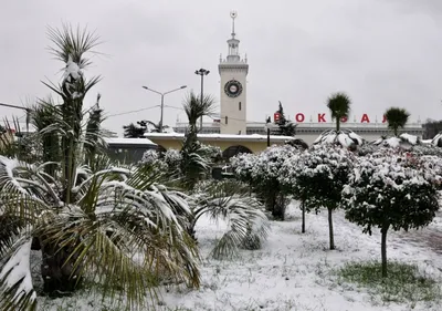 Снег в Сочи (Сириус) | фоторепортаж