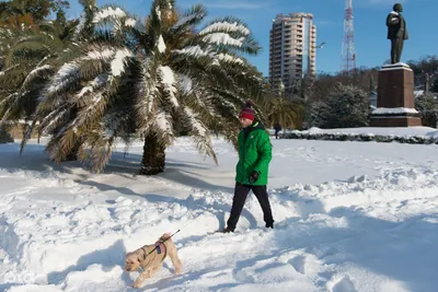 GISMETEO: Погода в Сочи: на смену заморозкам придут «тропические дожди» - О  погоде | Новости погоды.