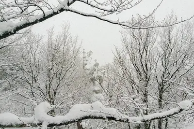 На горных курортах Сочи начали производить искусственный снег - Новости Сочи