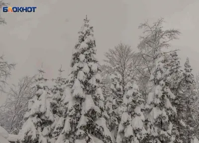 Побережье в Сочи впервые за зиму накрыло снегопадом