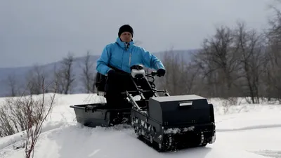 Собака но не простая, а электрическая | Пикабу