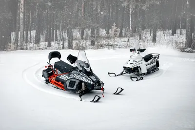 Снегоход и собака. | WWW.SNOWMOBILE.RU • Снегоходный форум