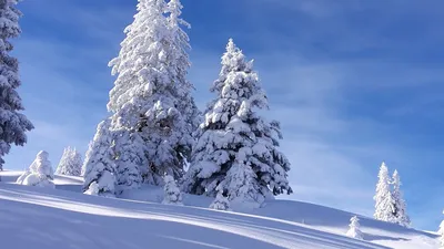 Праздник неизбежен, так что ставим новогодние обои на рабочий стол! —  OfficeLife