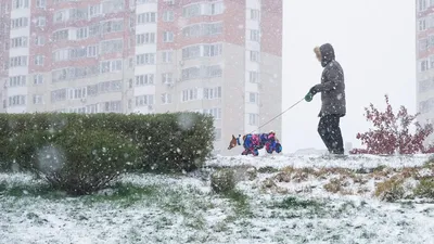 В Москве выпал первый снег. Посмотрите, как это было – The City