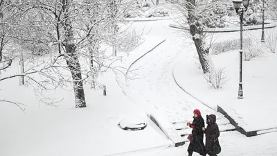 Горнолыжный комплекс Снежком в Красногорске, цены, веб-камеры, отели  официальный сайт, как добраться