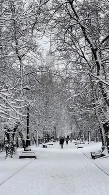 Снежная москва фото фотографии