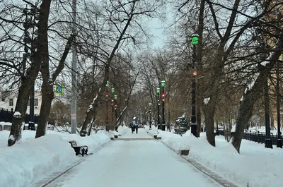 В Москве выпало рекордное количество осадков - РИА Новости, 03.12.2023