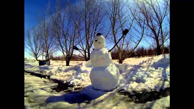 Family builds more than 40 foot tall, super-sized snowman in Milltown, Wis.