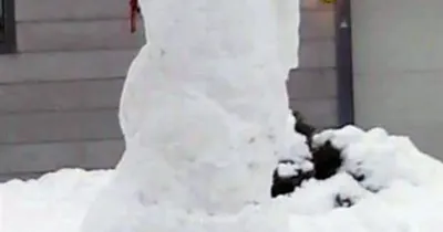 Snowman Melt Timelapse — The Wonder of Science