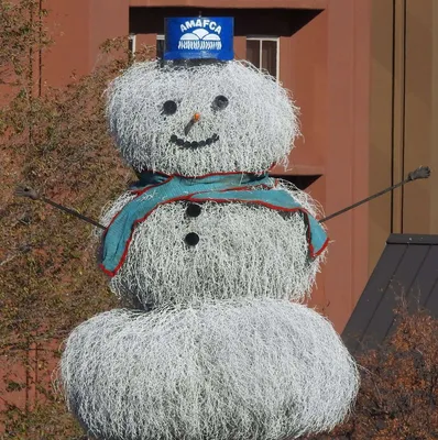 Condor inspects and pecks melting snowman | Fox News Video