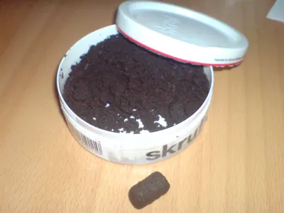 The History of Snus - How It All Started | The Northerner